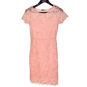 Ambiance Pink Lace Dress Medium Sheath Wedding Guest Spring